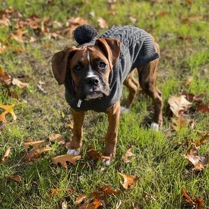 Meet your Posher, Cherie